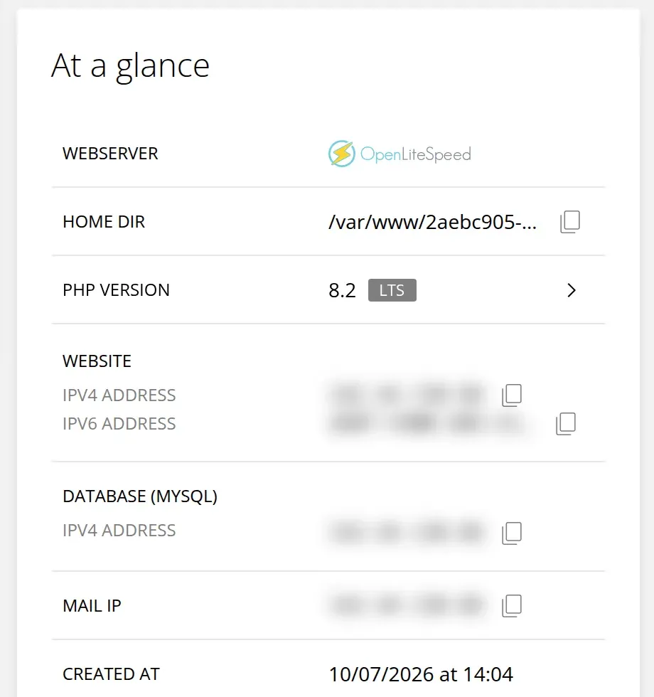 Website at a glance panel listing OpenLiteSpeed as the web server and the PHP version