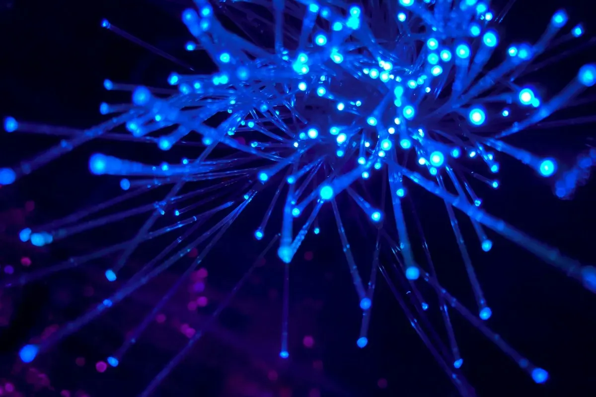 Streaks of purple and blue light spreading out like a network